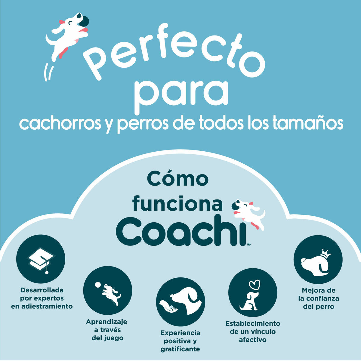 V5H5C1CC0CF0568823453CEBCFA470EAC60R3709076P8